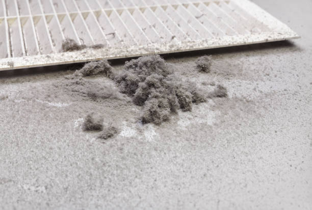 Best HVAC System Cleaning  in Kekaha, HI