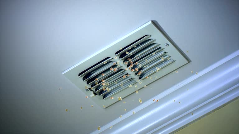  Kekaha, HI Airduct Cleaning Pros