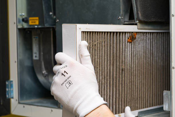 Best Air Duct Cleaning Near Me in HI