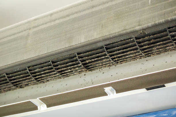 Best HVAC Air Duct Cleaning  in Kekaha, HI